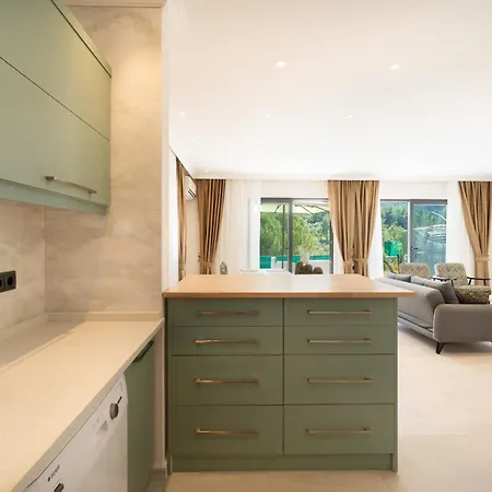 Loop House - Luxury With Pool In Yesiluezuemlue Βίλα Φετιγιέ