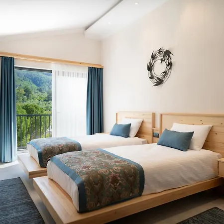 别墅 Loop House - Luxury With Pool In Yesiluezuemlue 费特希耶